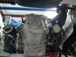 DSC00540.jpg