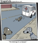 00537-daily-cartoons-lawyer-dog.gif