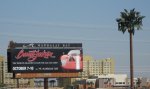 IMG_3243.jpg