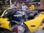 Yellow3.jpg