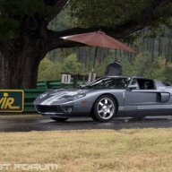 The Grey Ghost
