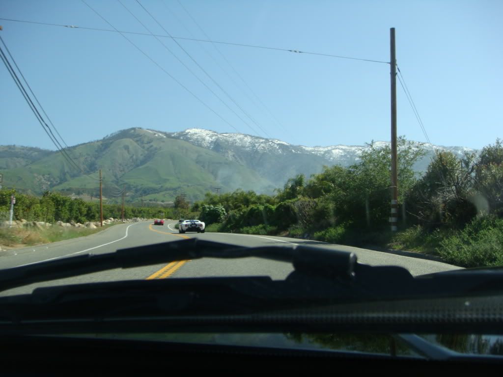 YenPhoto26_Apr_2010365.jpg