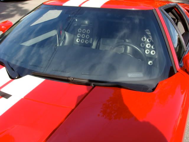 DSC07008.jpg