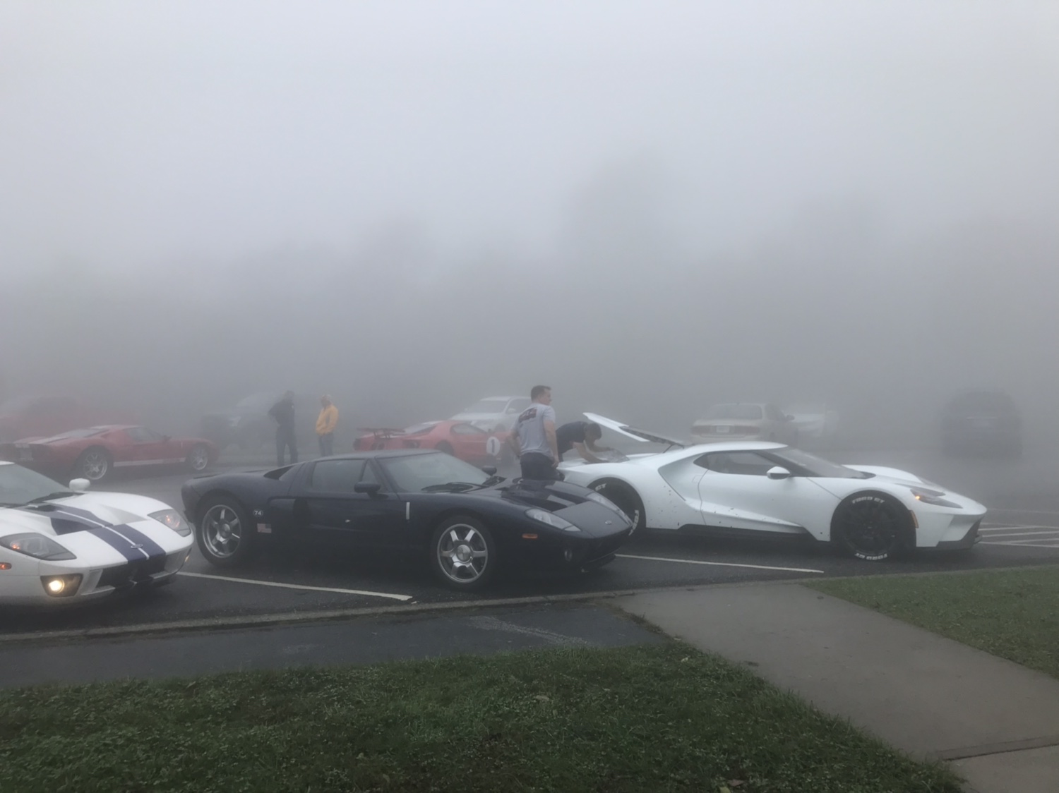 196ad7348e322fbfe736e8e6b85affe3.jpg