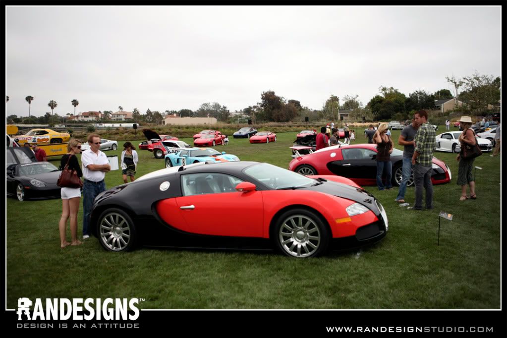 IMG_0818copy.jpg
