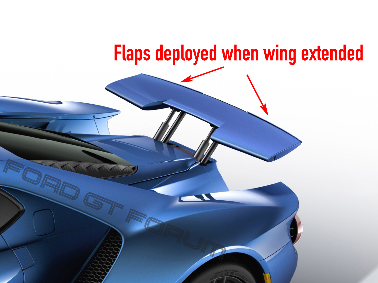 flaps-1.jpg