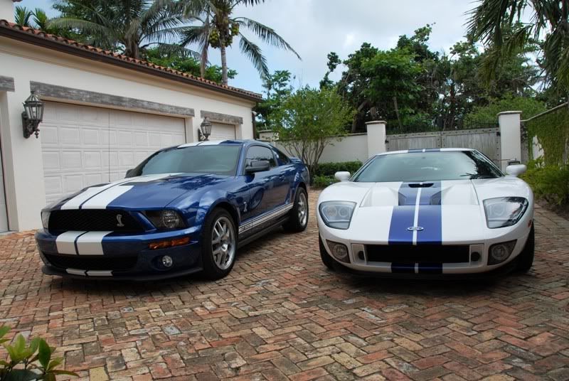 ShelbyGT.jpg