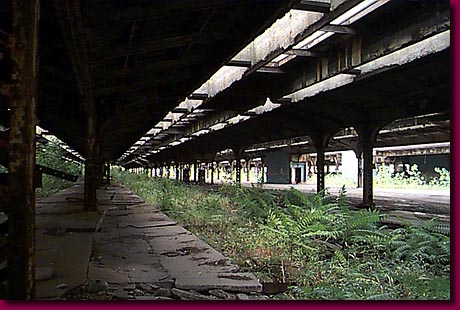 56mcPlatform.jpg