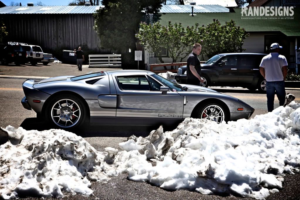 IMG_7519copy.jpg