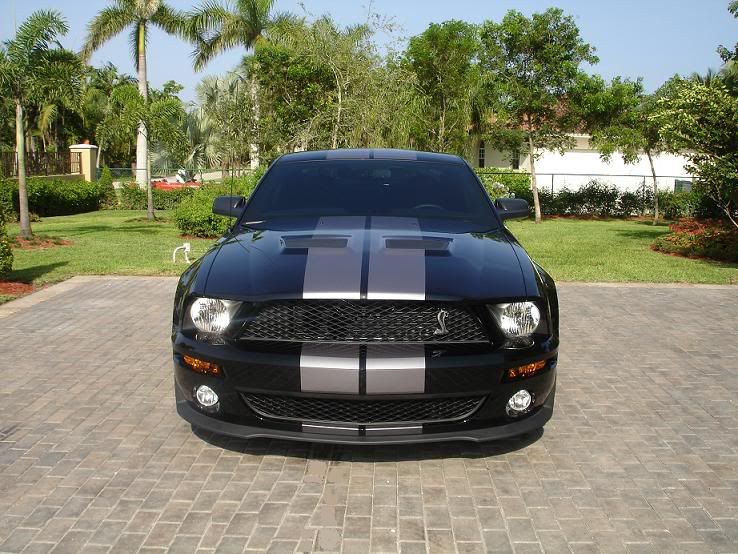 B_GT500_07-1.jpg