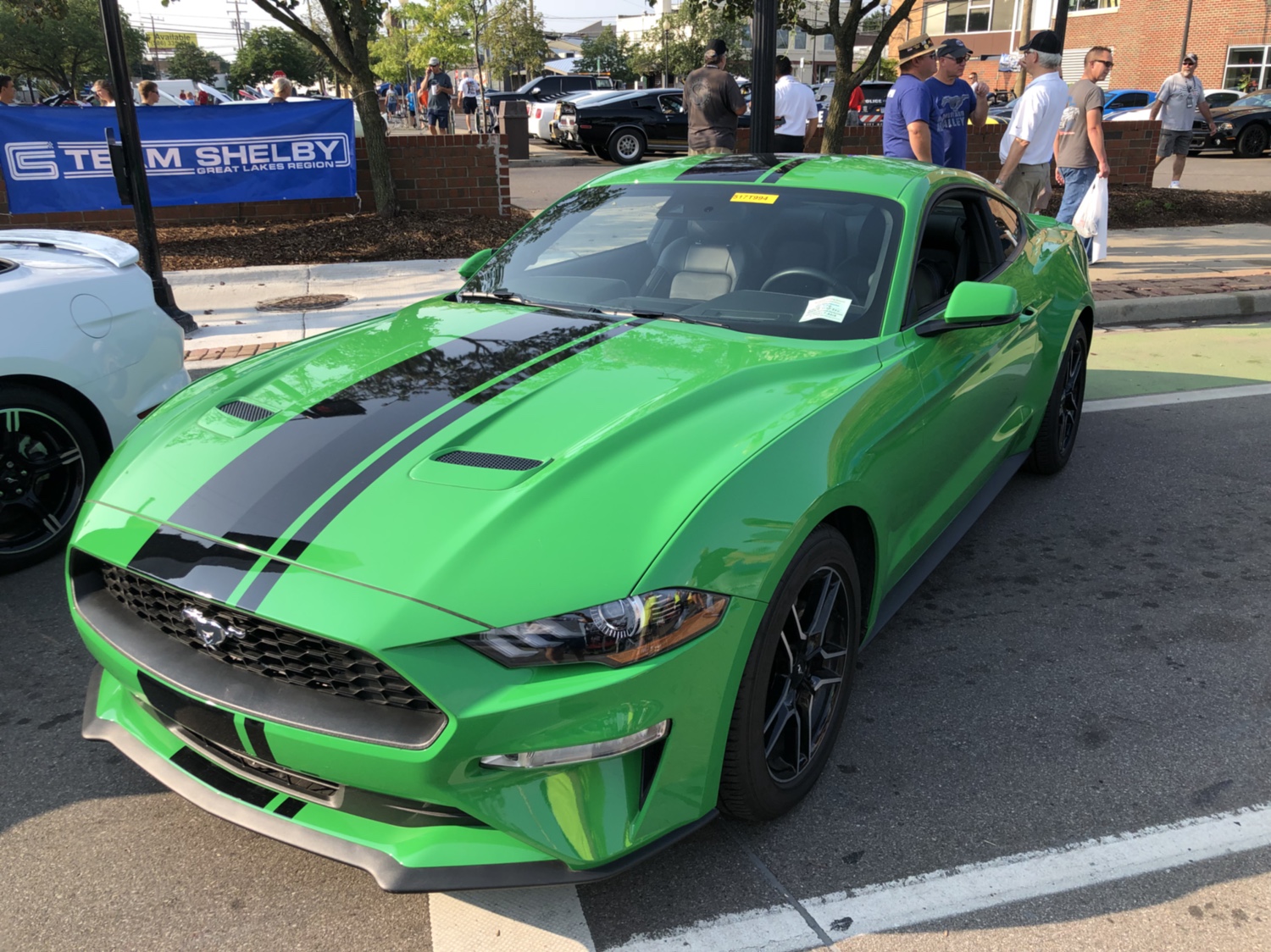 f354ac0c4cd8e51f452e10d5817ad7b4.jpg