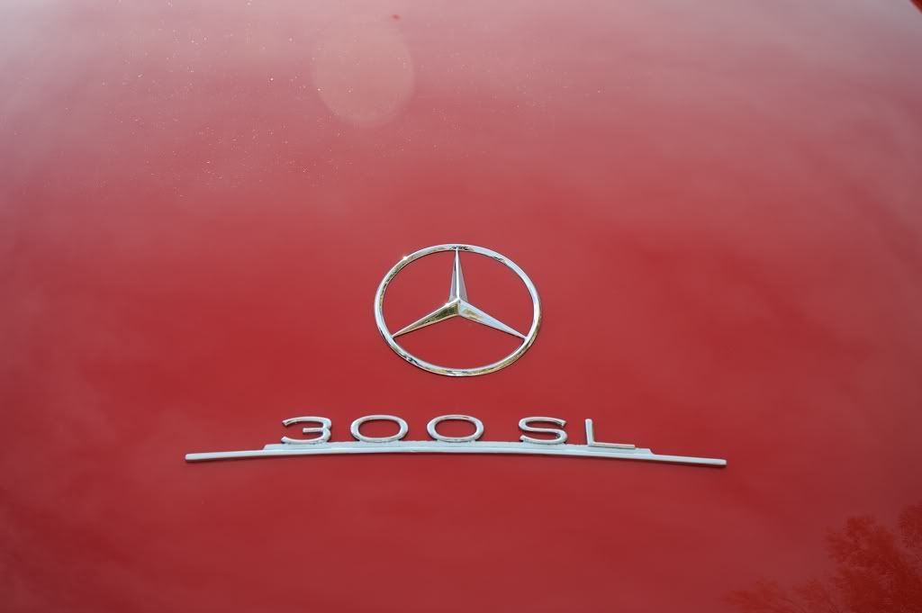 DSC_1518.jpg