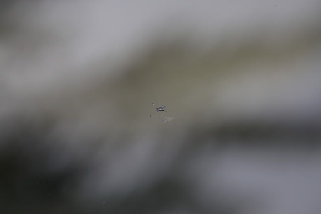 IMG_6129.jpg