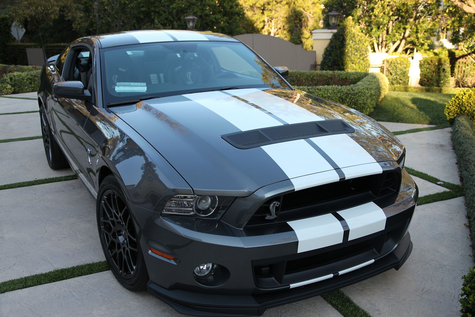 IMG_0722_zps6bf66eed.jpg