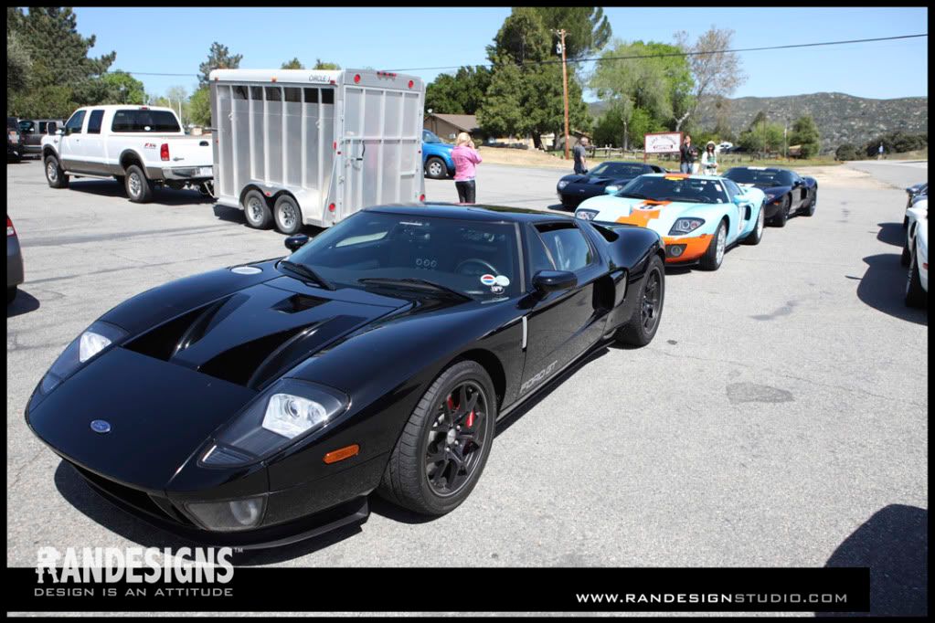 IMG_7503copy.jpg