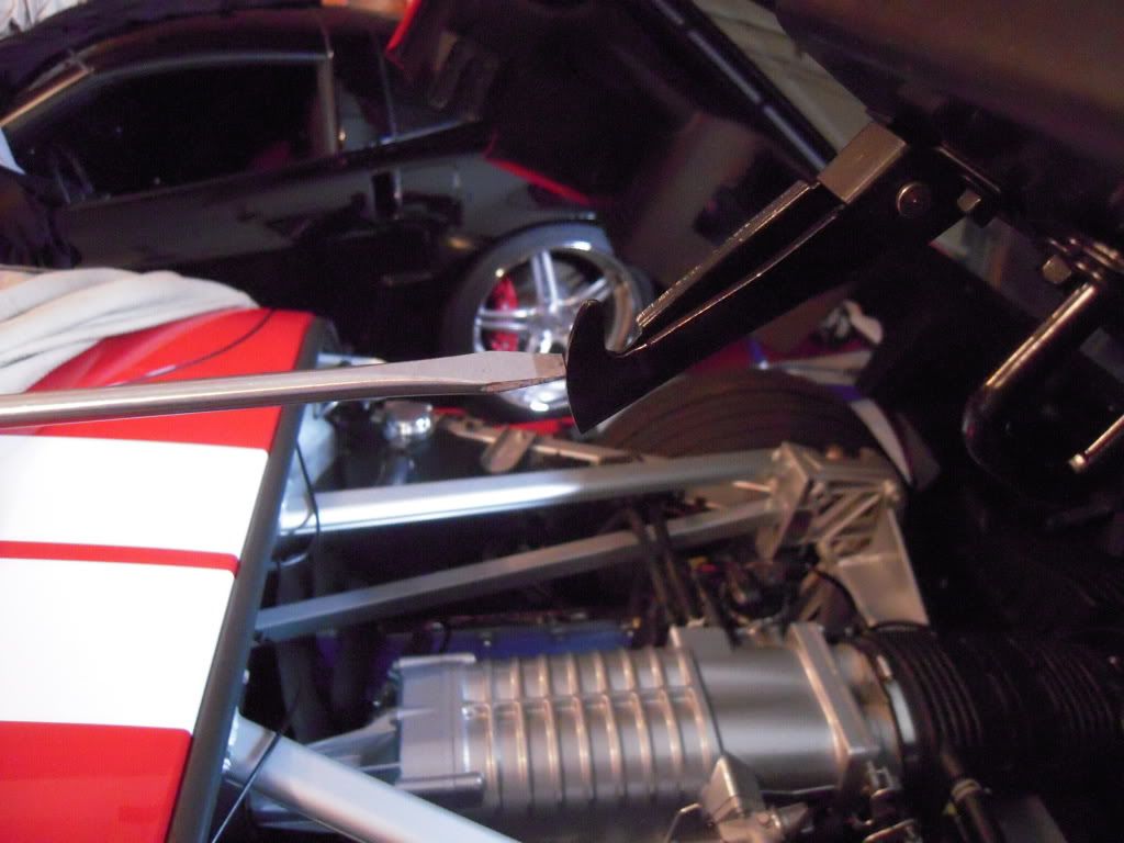 DSCN0486.jpg