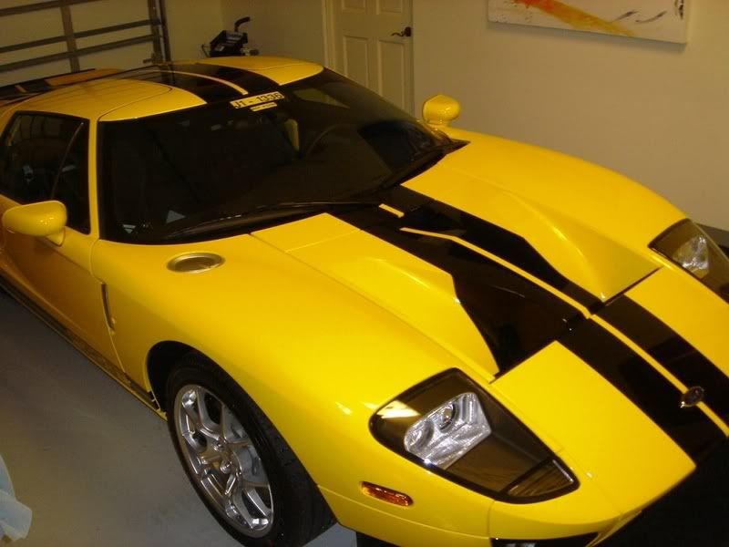 YellowResized.jpg