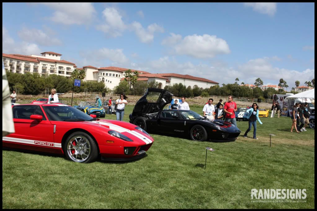 IMG_1319copy.jpg