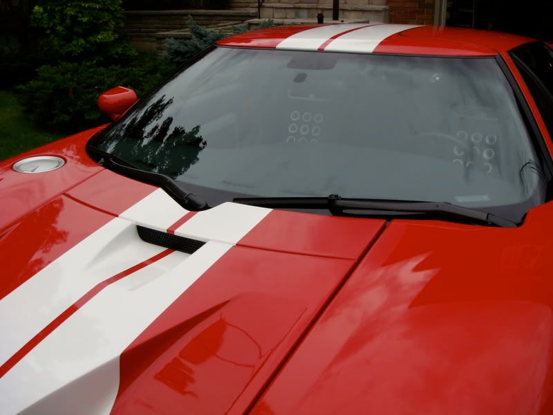 DSC08951.jpg