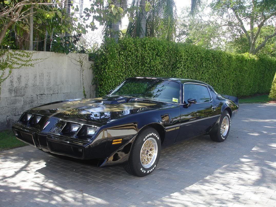Bandit_01-1.jpg