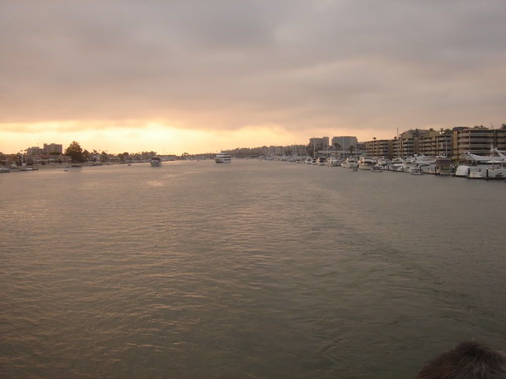 DSC07038.jpg