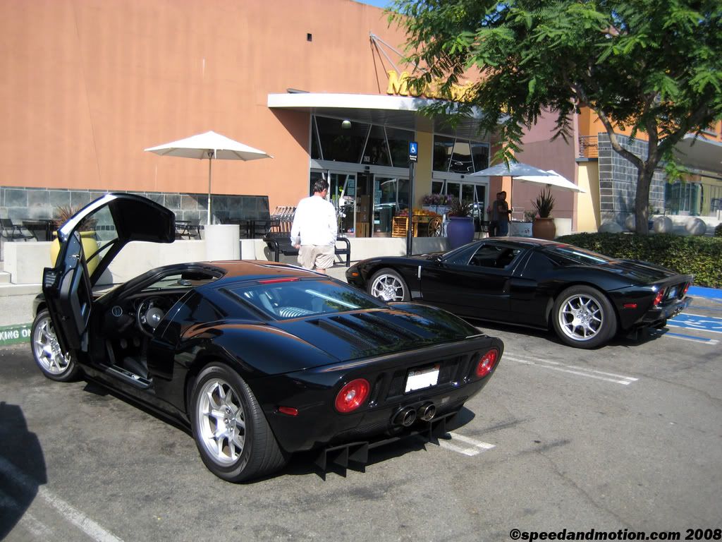 IMG_2956_1600.jpg