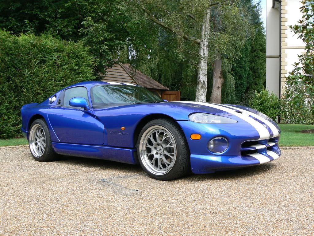 viperandstingray008.jpg