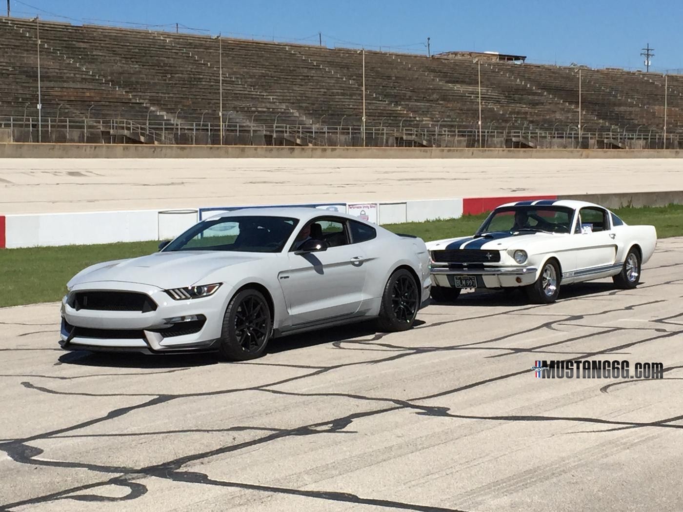 2016-shelby-gt350-mustang-tires-to-be-available-from-june-15-video-photo-gallery_10.jpg