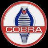 www.cobraexperience.org